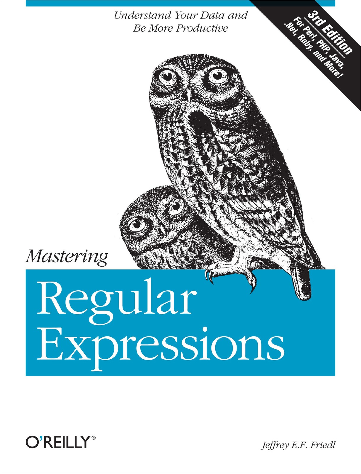 Mastering Regular Expressions – paperback Friedl, Jeffrey