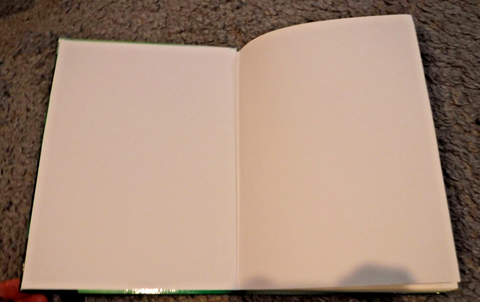 R Book by Michael J. Crawley (2013, statistical techniques SOFTWARE BOOK