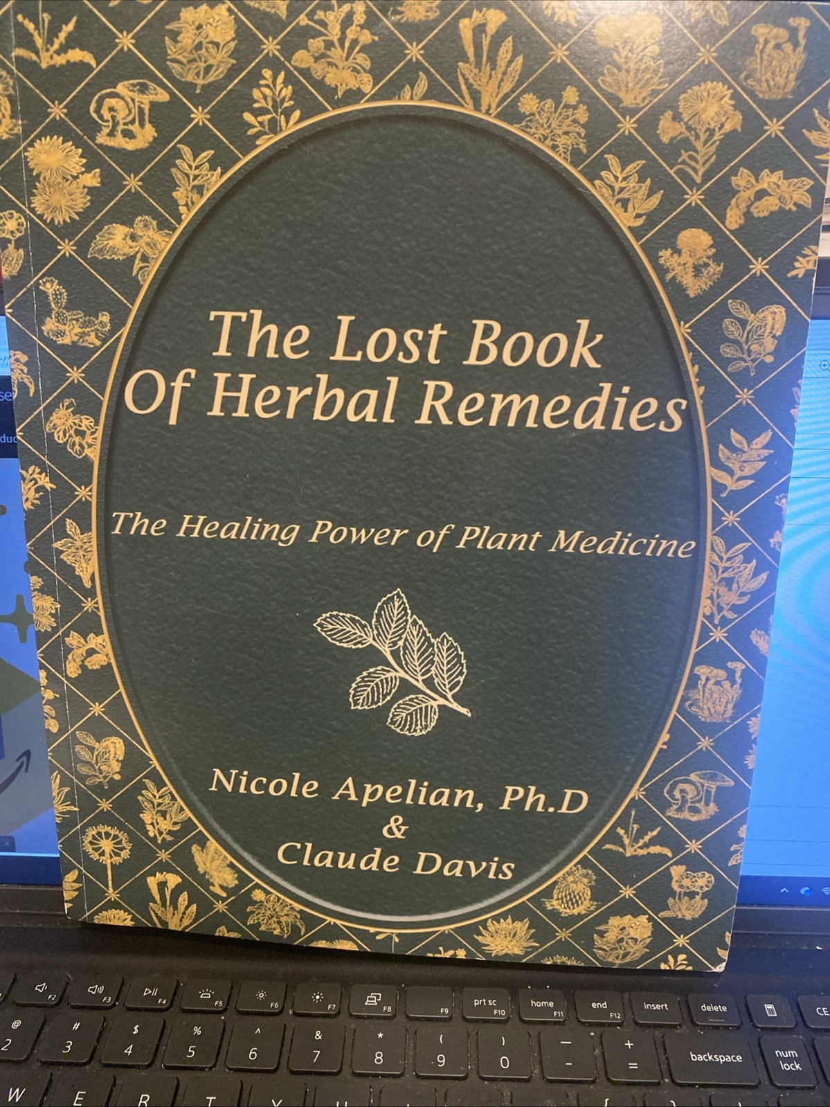 The Lost Book of Herbal Remedies (paperback with color pictures)