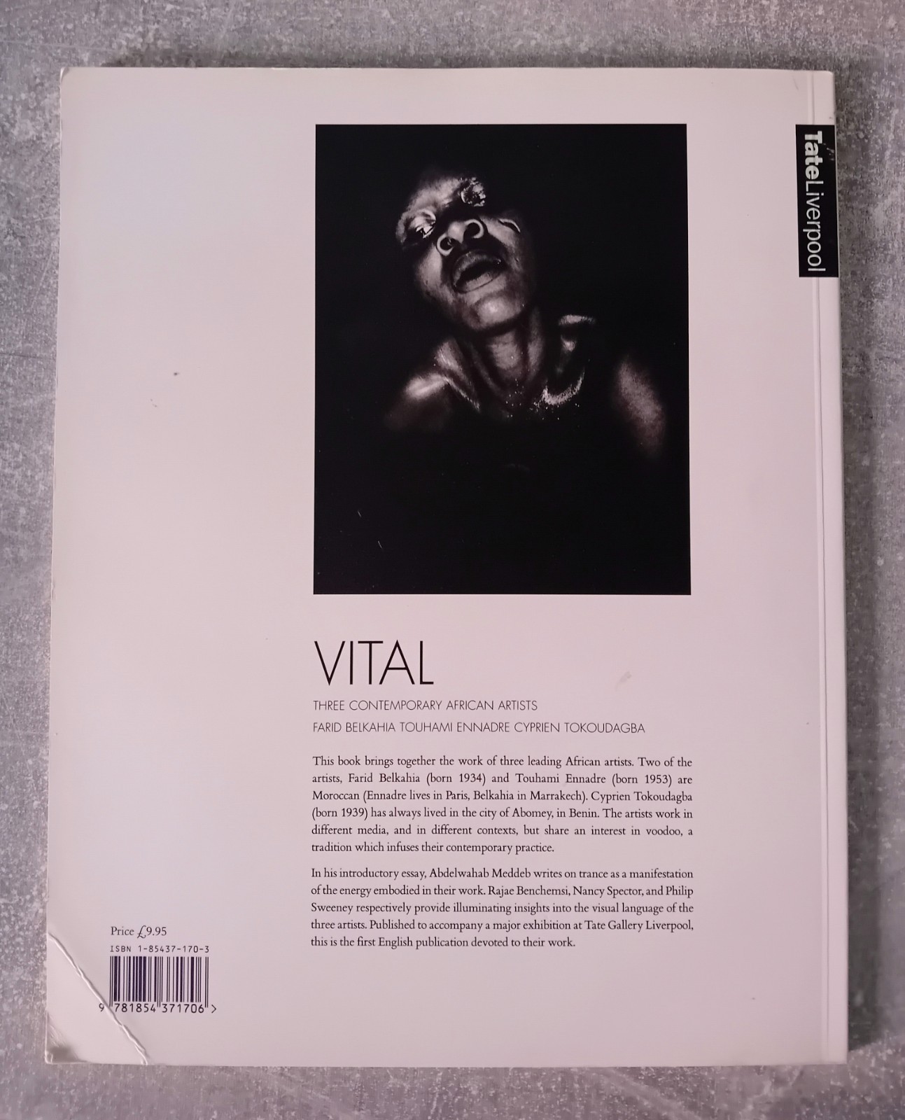 Vital : Three Contemporary African Artists – Tate Gallery Liverpool 1995