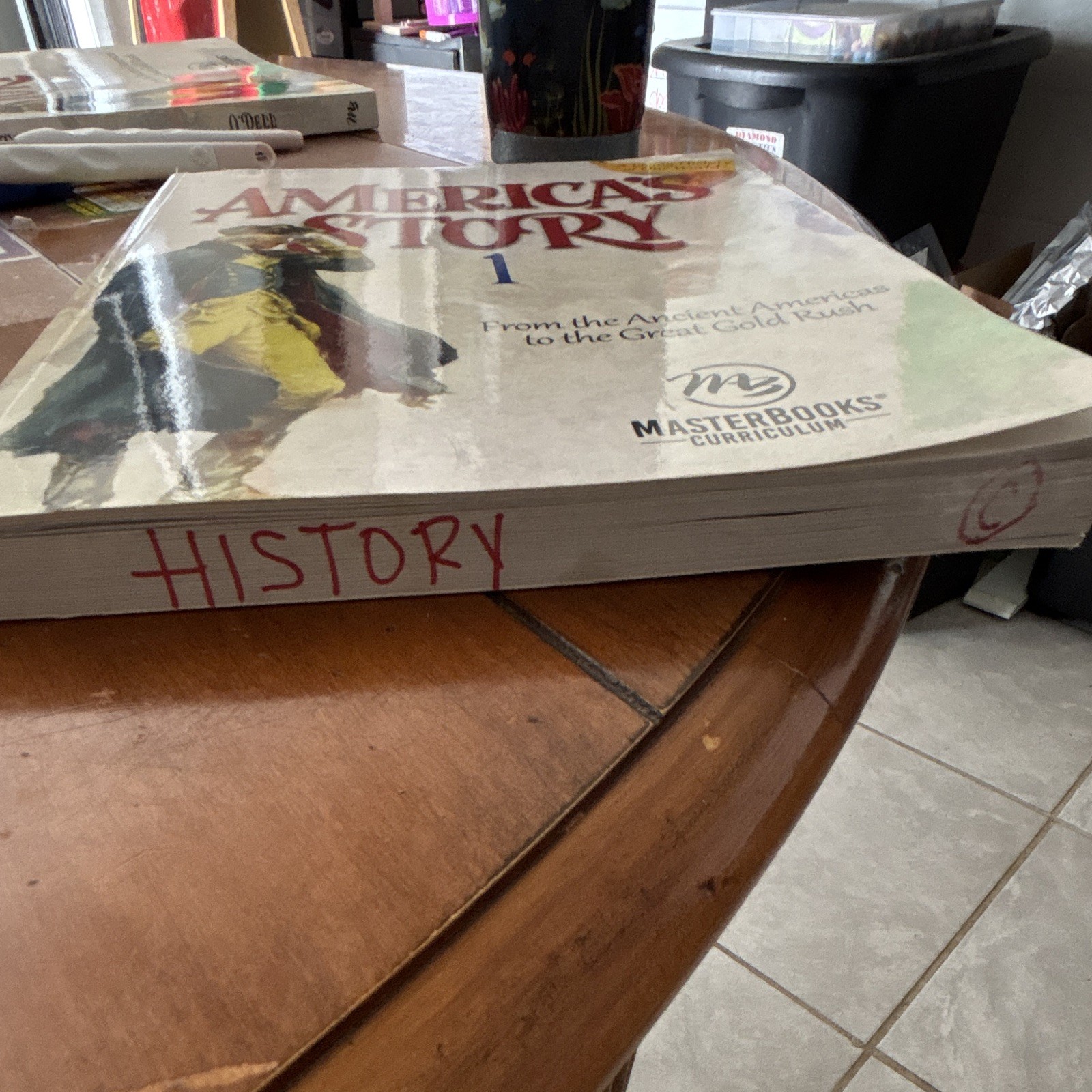 Master Books America’s Story 1 Paperback by Angela O’Dell Illustrated
