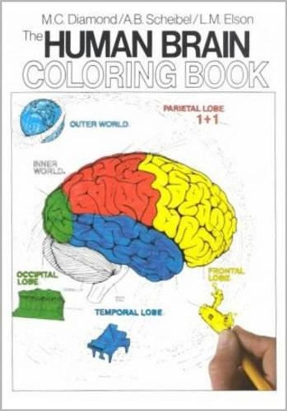 The Human Brain Coloring Book: A Coloring Book 1st Edition by Marian C. Diamond