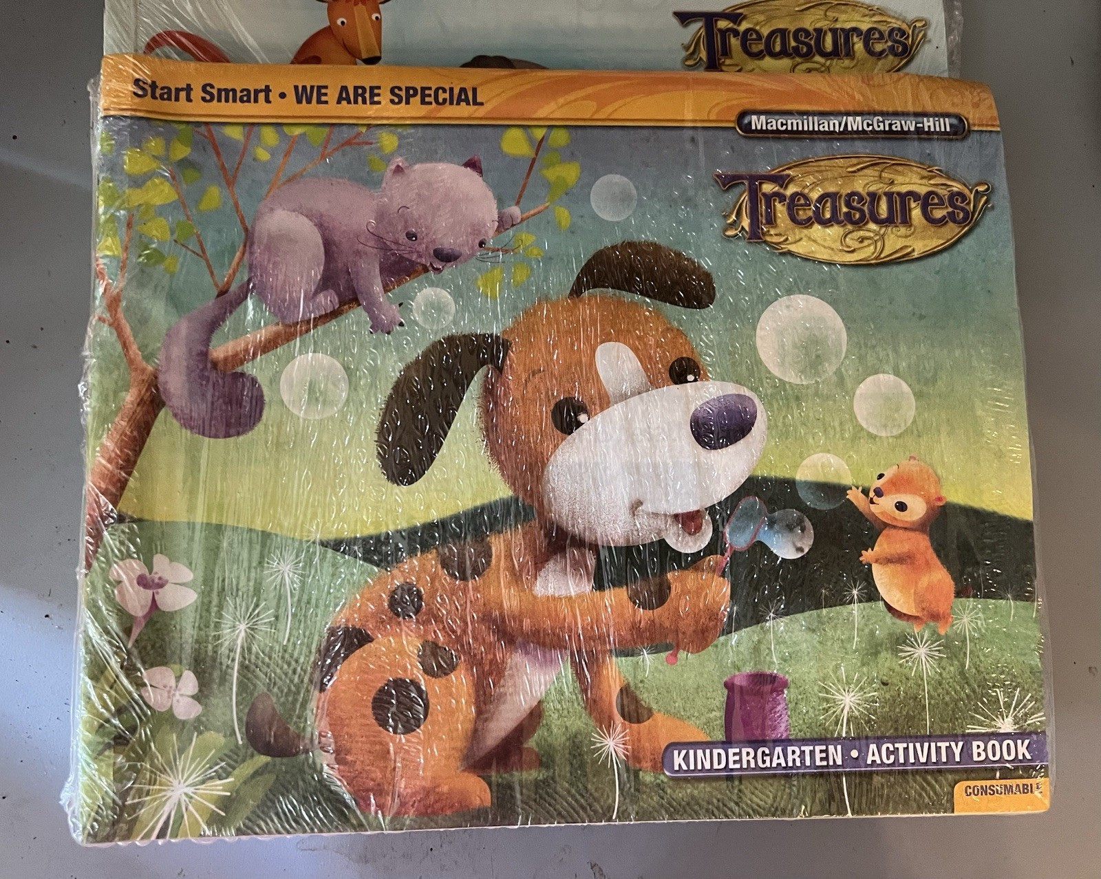 Macmillan/McGraw-Hill Treasures KINDERGARTEN ACTIVITY BOOK I Know A lot 10 Pk NW