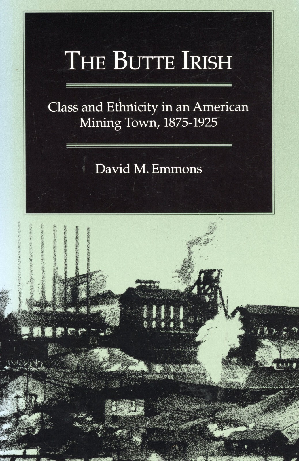 Butte Irish Class & Ethnicity American Mining 1875-1925 Montana History NEW