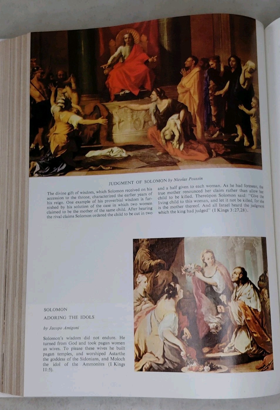 White Holy Bible The New American Bible Catholic