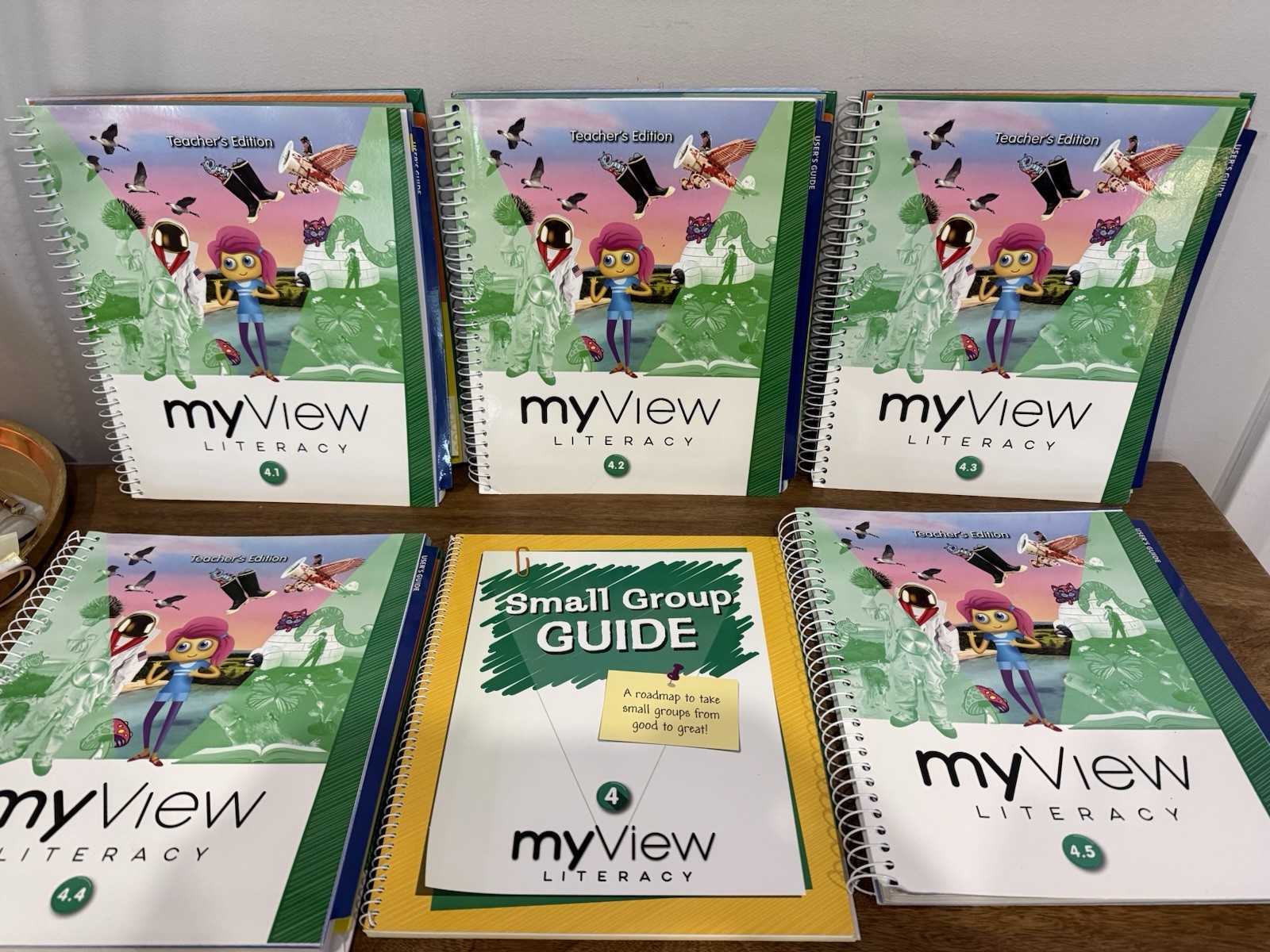 SAVVAS My View Literacy Gr 4-Set of 5 Teacher’s Ed