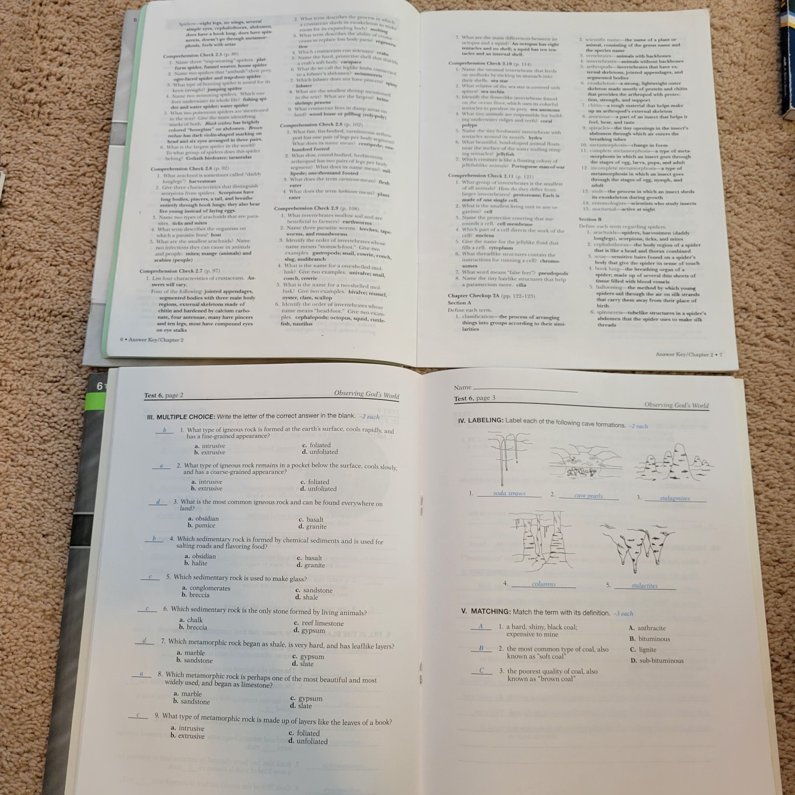 Abeka 6th Grade Language, History, Science, Health, Math, 19 Books
