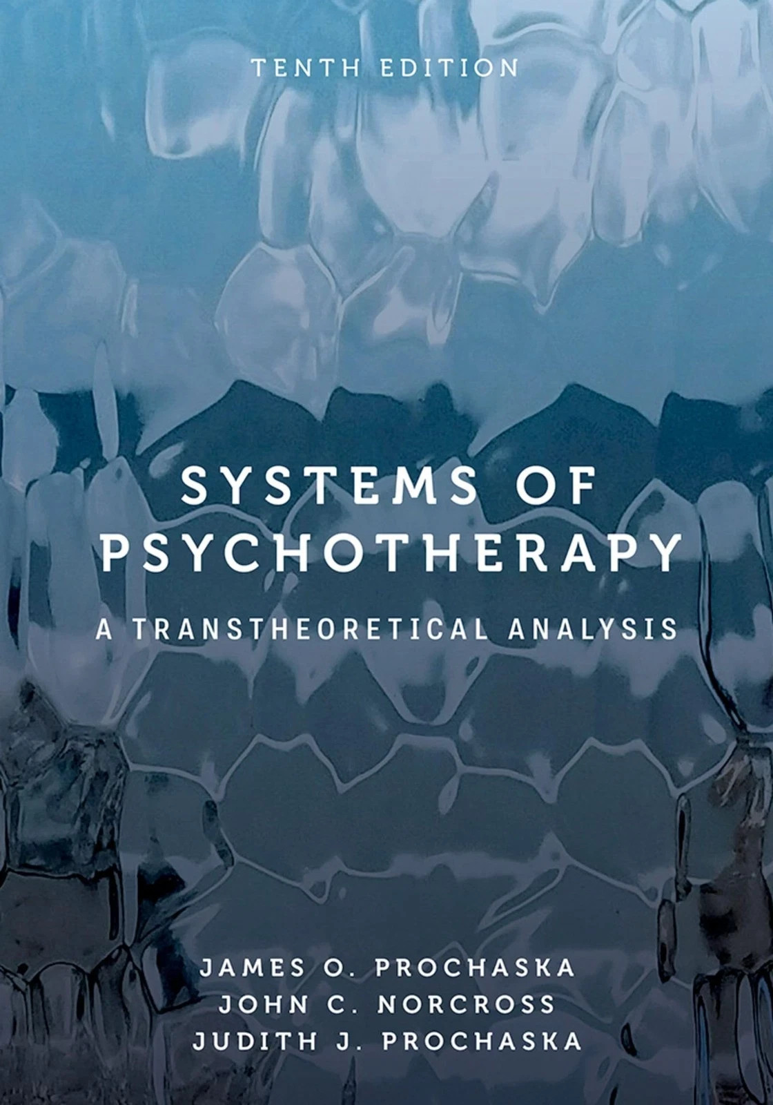 Systems of Psychotherapy: A Transtheoretical Analysis ( PAPER BACK EDITION )