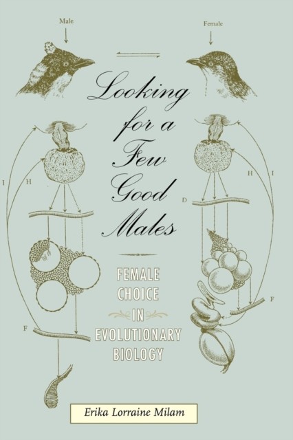 Milam – Looking for a Few Good Males Female Choice in Evolutionary Bi – X555z