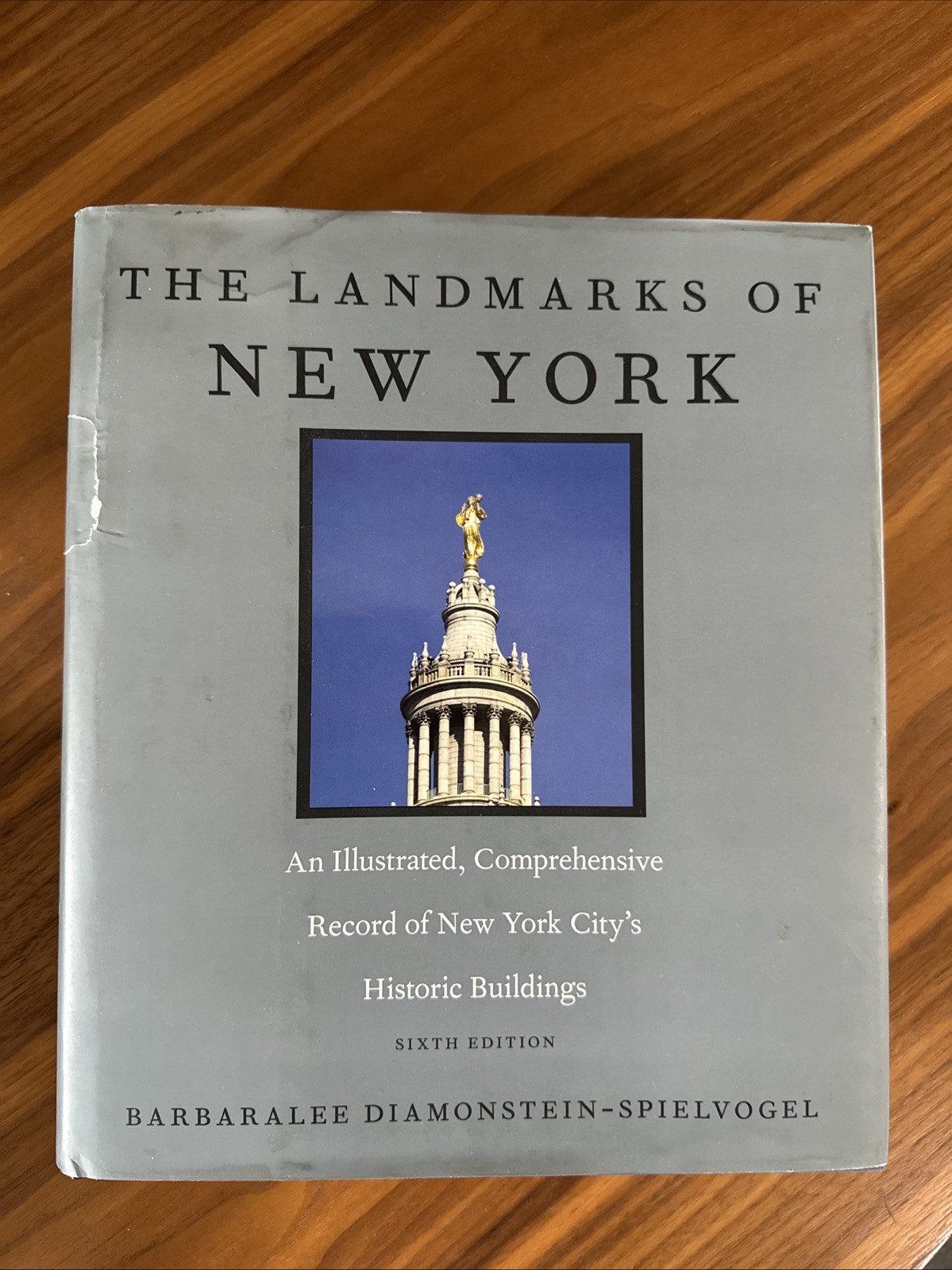 The Landmarks of New York SIXTH EDITION by BARBARALEE DIAMONSTEIN-SPIELVOGEL. EX