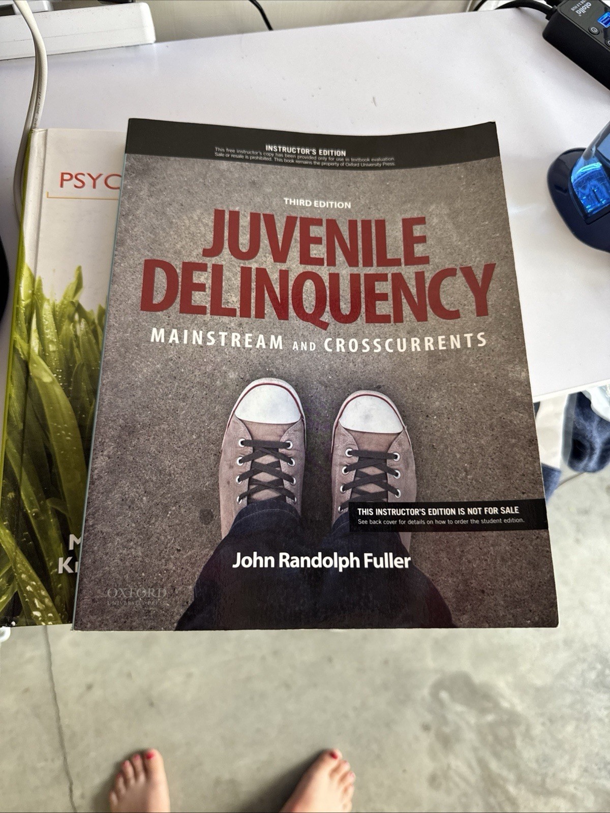 Juvenile Delinquency: Mainstream and Crosscurrents INSTRUCTORS EDITION