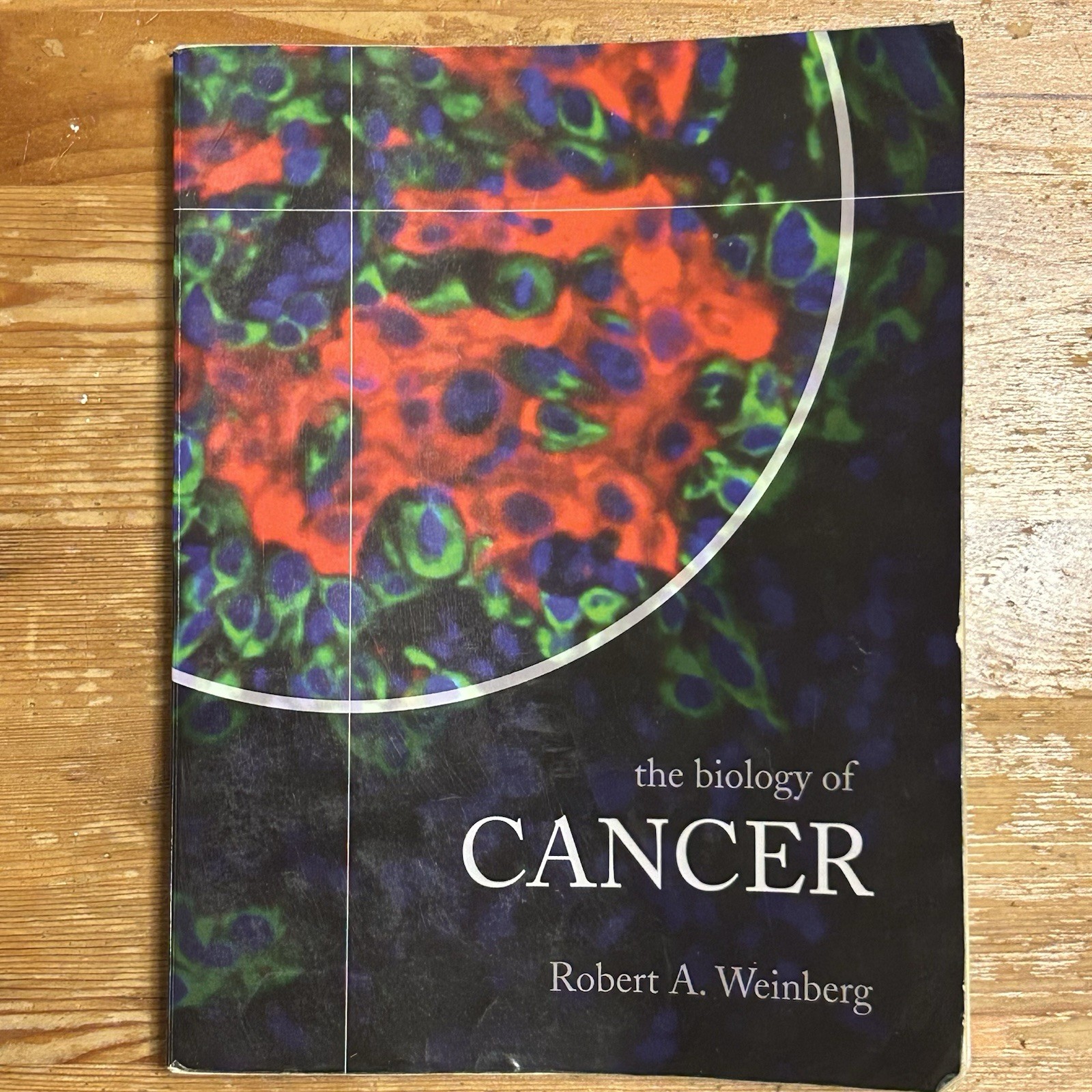 Biology of Cancer by Robert A. Weinberg (2006 Trade Paperback) Good Condition