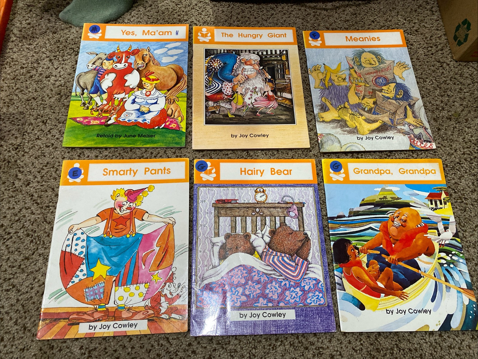 1990s Lot of 6 Joy Cowley June Meiser The Story Box Books Leveled Readers