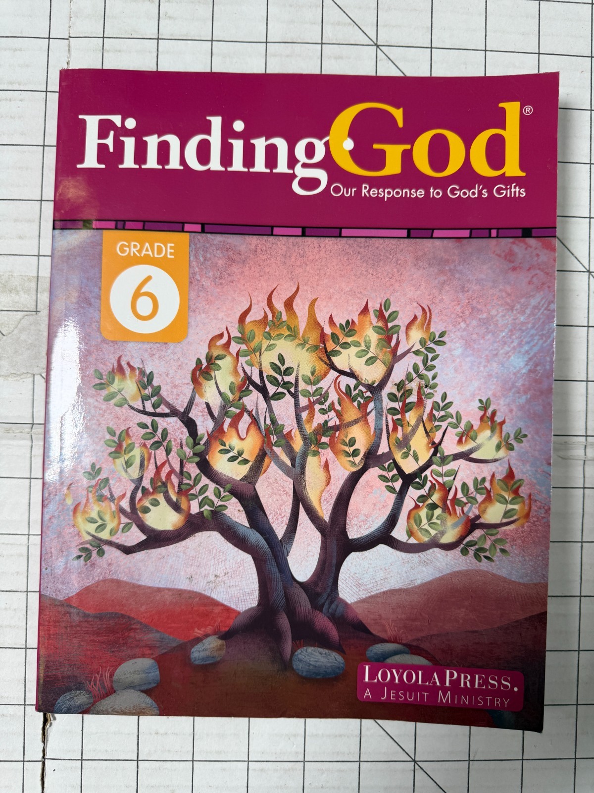 Finding God Grade 6 Our Response to God’s Gifts Loyola Press 2021, PB Ships Fast