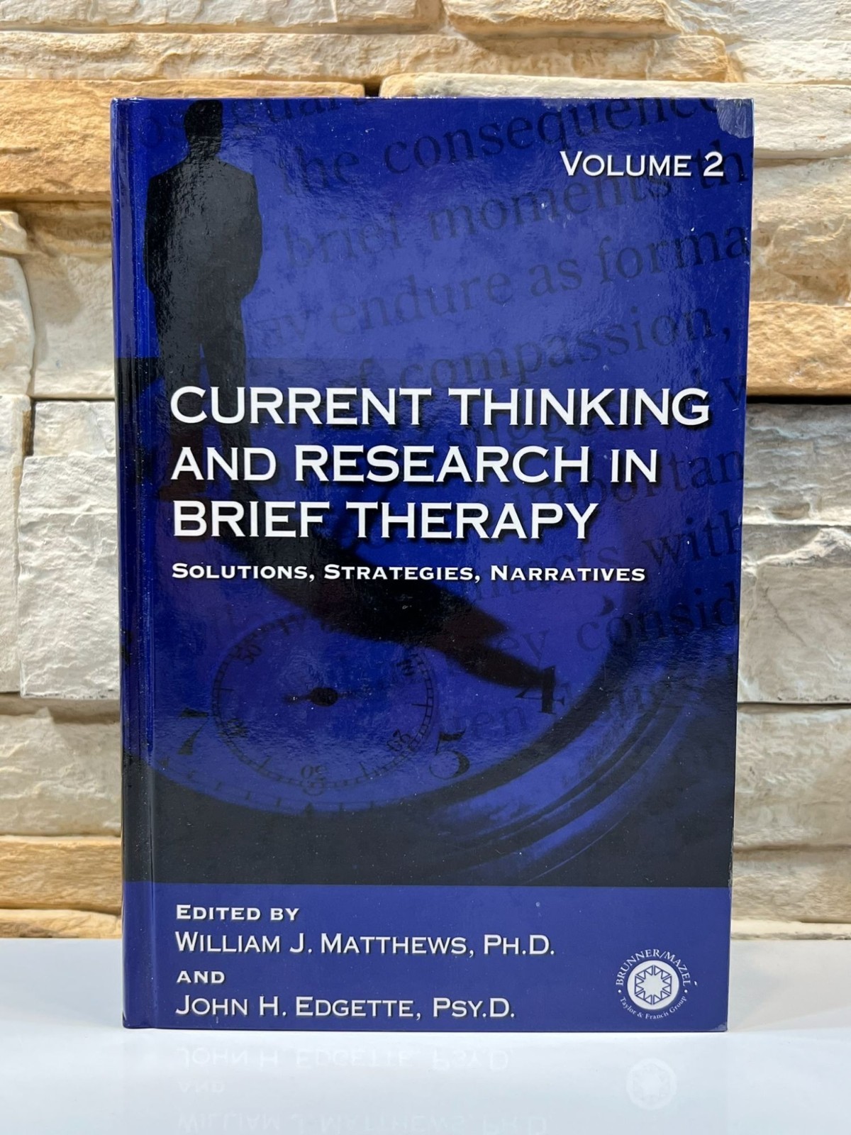 Current Thinking and Research in Brief Therapy Vol. 2 Matthews Edgette 1998 HC