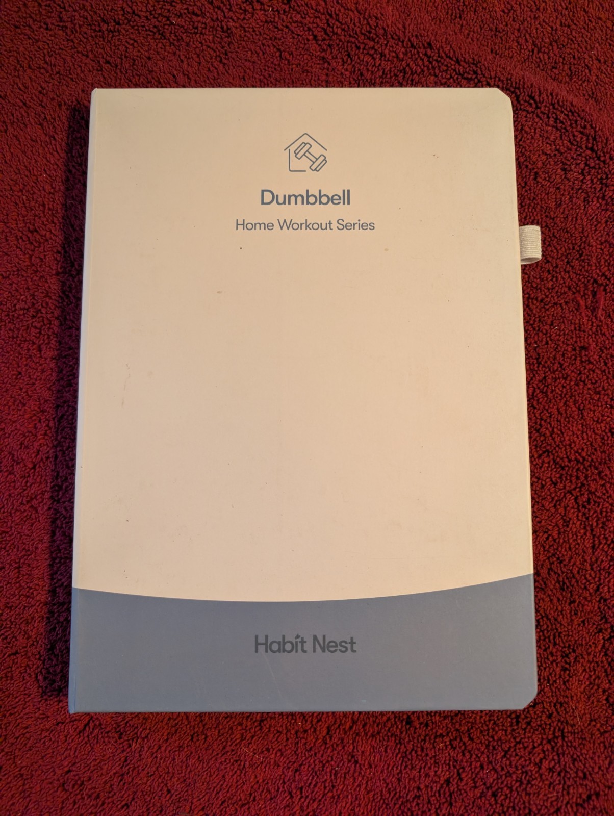 The Dumbbell Home Workout Journal Series 2023 First Edition–no flaws