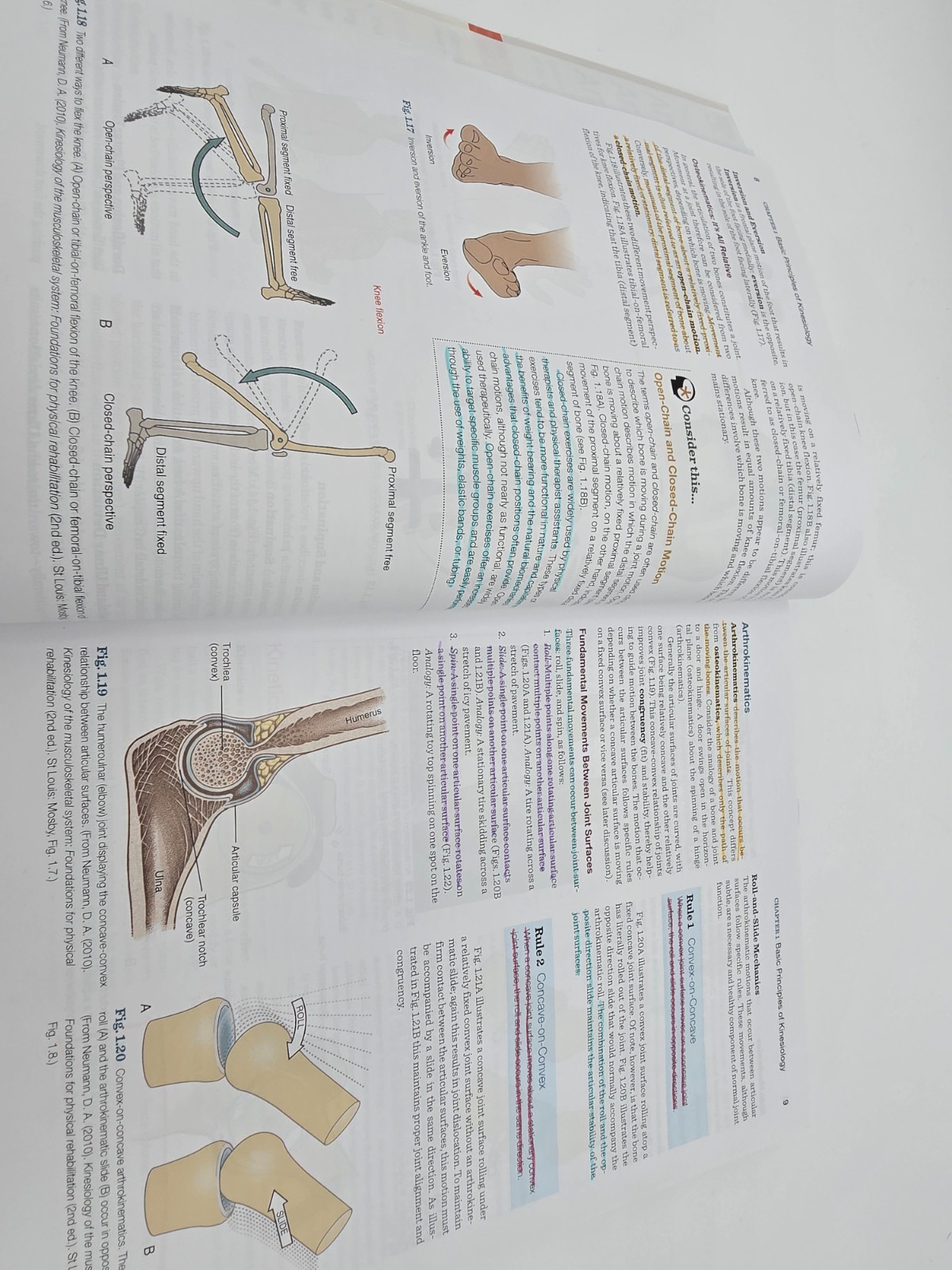 Essentials of Kinesiology for the Physical Therapist Assistant Mansfield Neumann