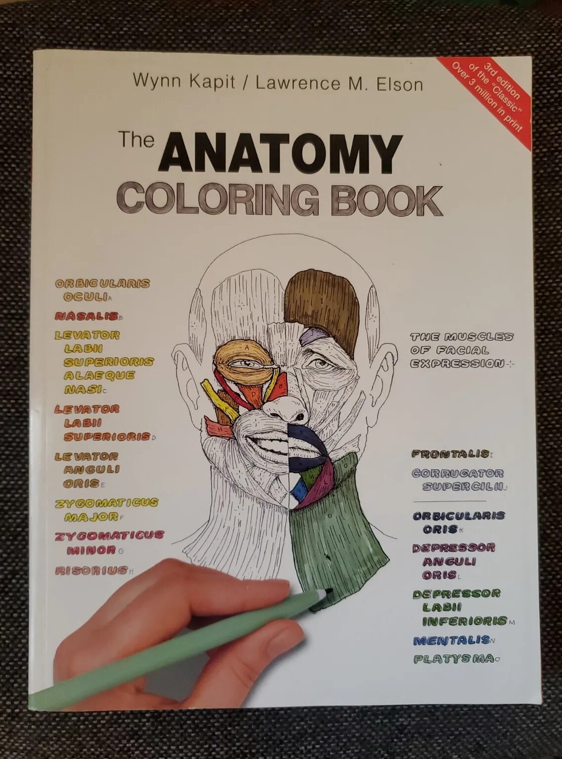The Anatomy Coloring Book by Wynn Kapit / Lawrence M. Elson [English] Pearson