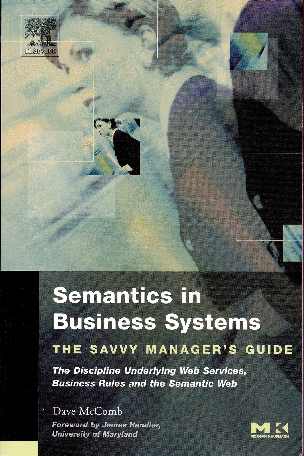 Semantics in Business Systems: The Savvy Manager’s Guide