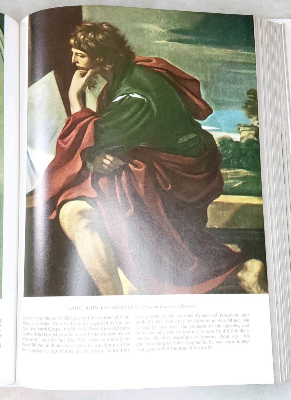 White Holy Bible The New American Bible Catholic