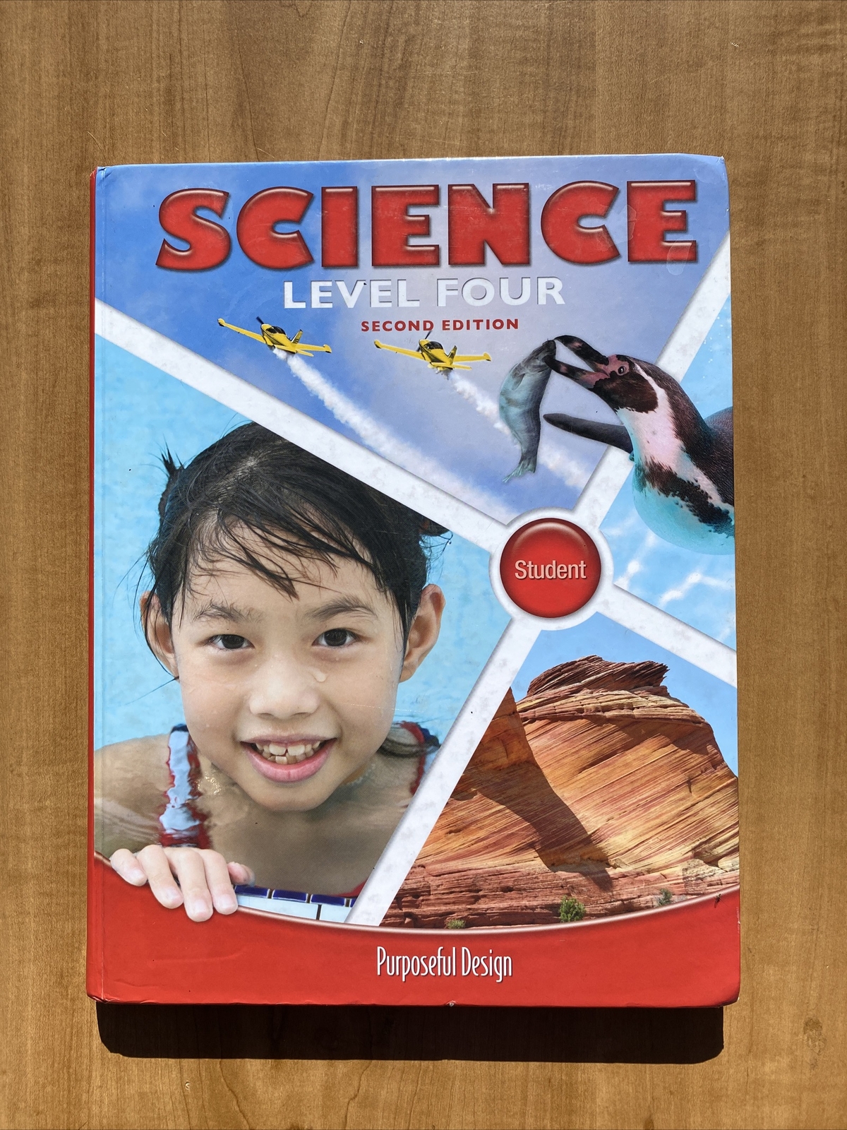 ACSI Purposeful Design – Science Level Four