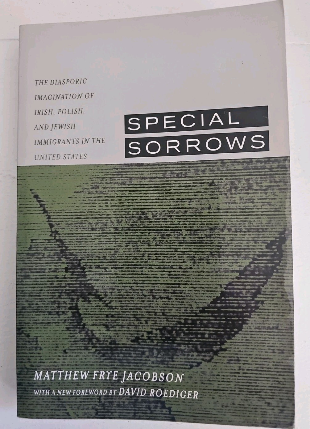 Special Sorrows : The Diasporic Imagination of Irish, Polish, and Jewish…