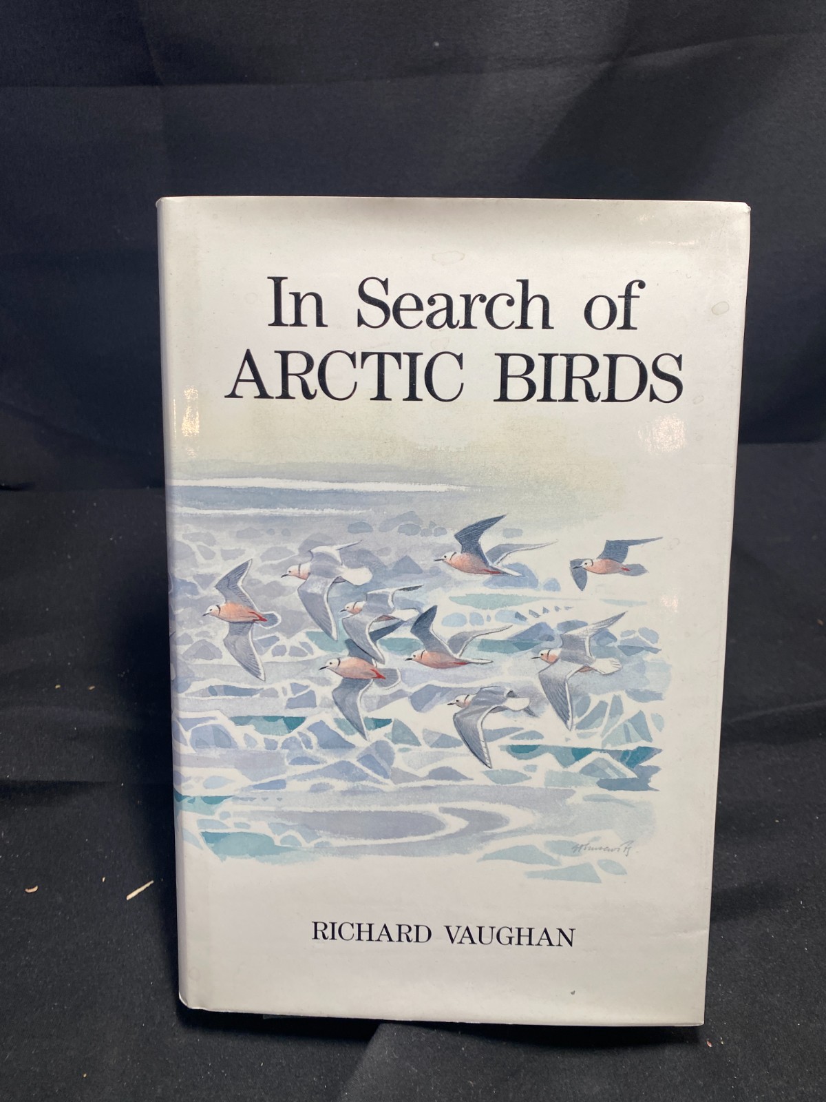 In Search of Arctic Birds by Richard Vaughan (1991, Hardcover)
