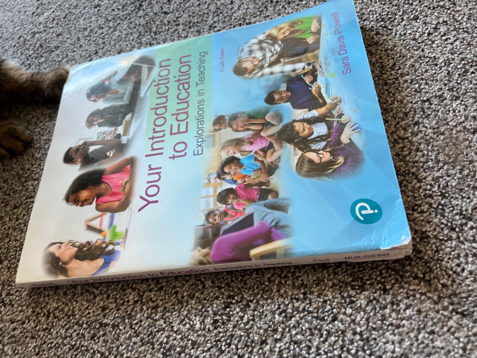Your Introduction to Education : Explorations in Teaching by Sara D. Powell (Tra