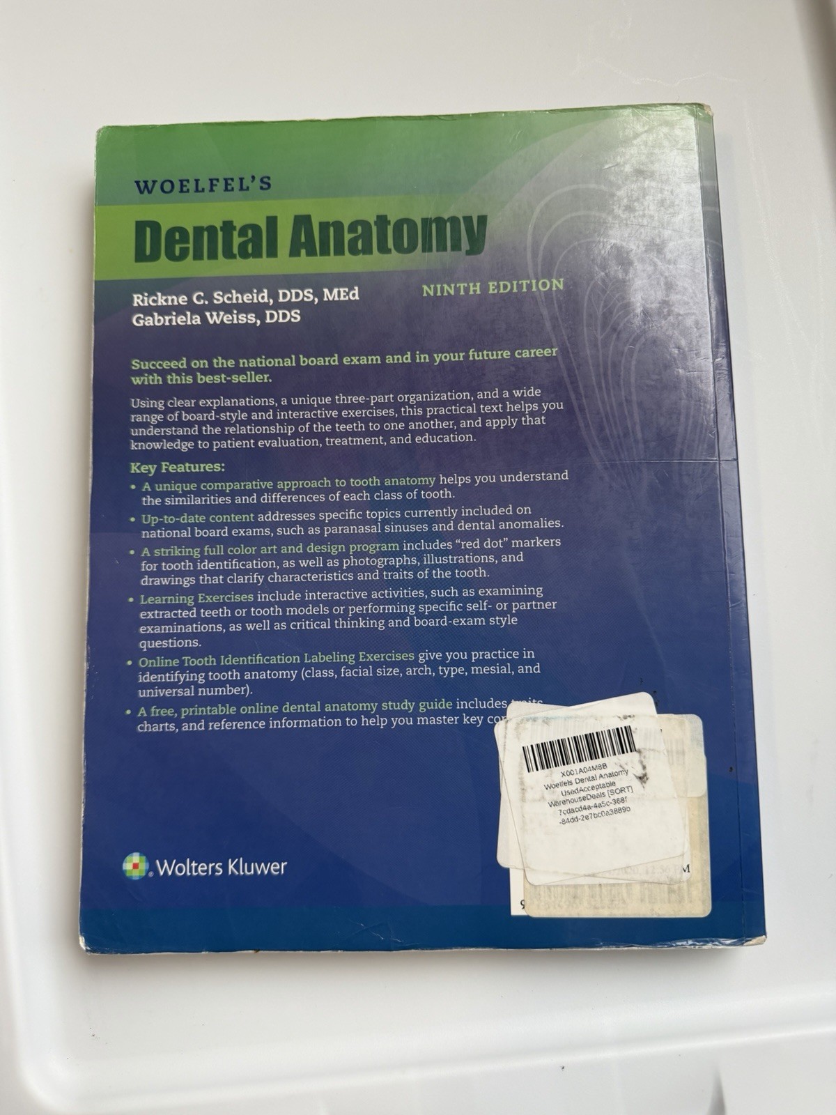 Woelfels Dental Anatomy by Rickne C. Scheid (2016, Trade Paperback)