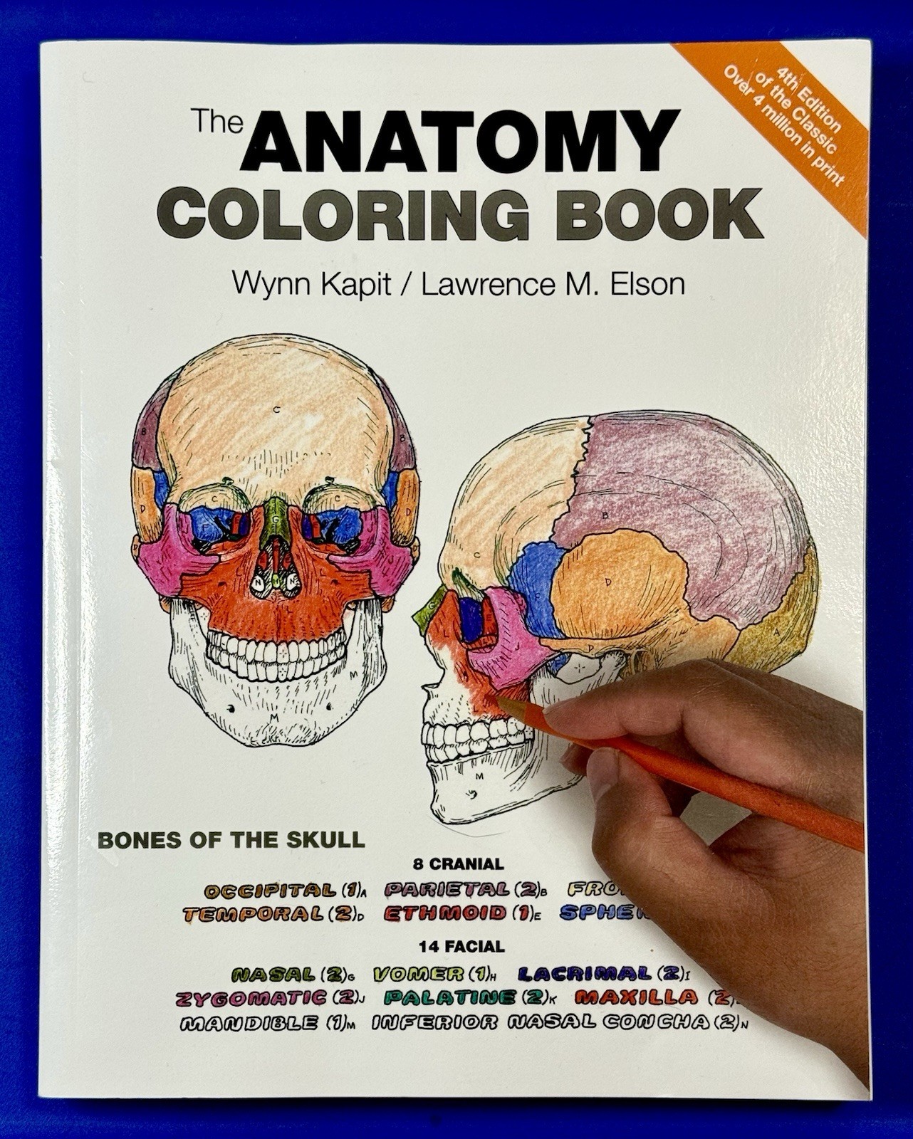 Anatomy Coloring Book by Wynn Kapit and Lawrence Elson 2013 Trade Paperback