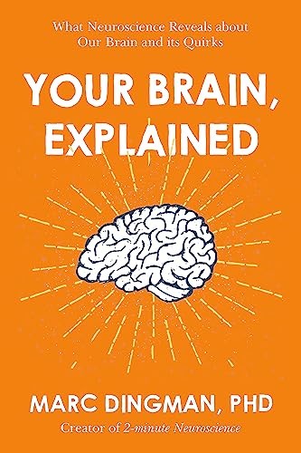 Your Brain, Explained: What Neuroscience Reveals About Your Brai
