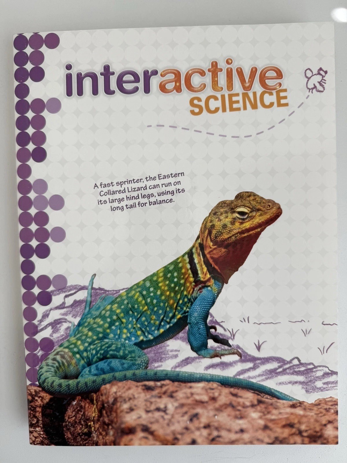 Savvas Interactive Science Grade 5 Textbook Paperback 312 Pages English