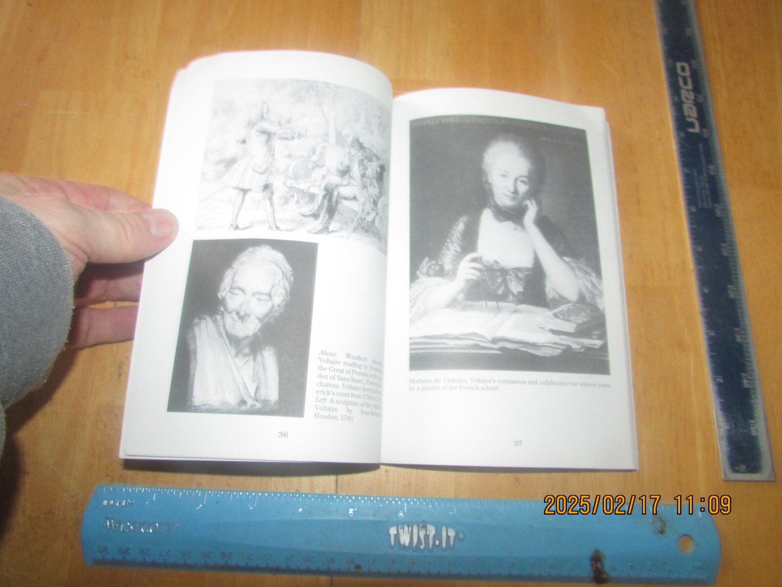 Candide : By Voltaire by Voltaire and Daniel Gordon (1998, Perfect)