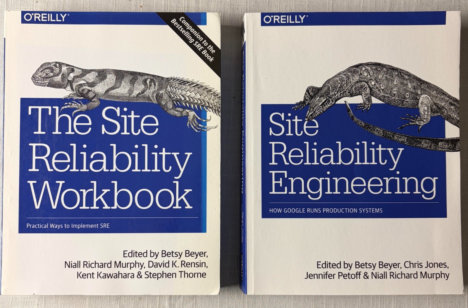 Site Reliability Engineering : Google Production Systems with Workbook, Lot of 2