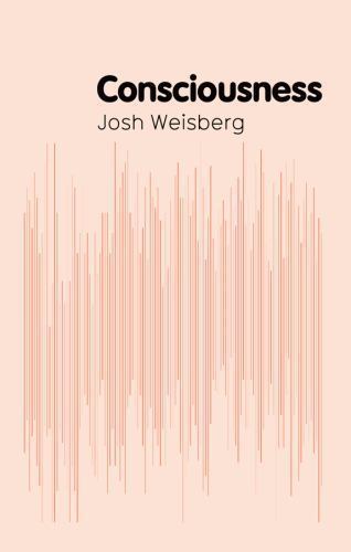 Key concepts in Philosophy Ser.: Consciousness by