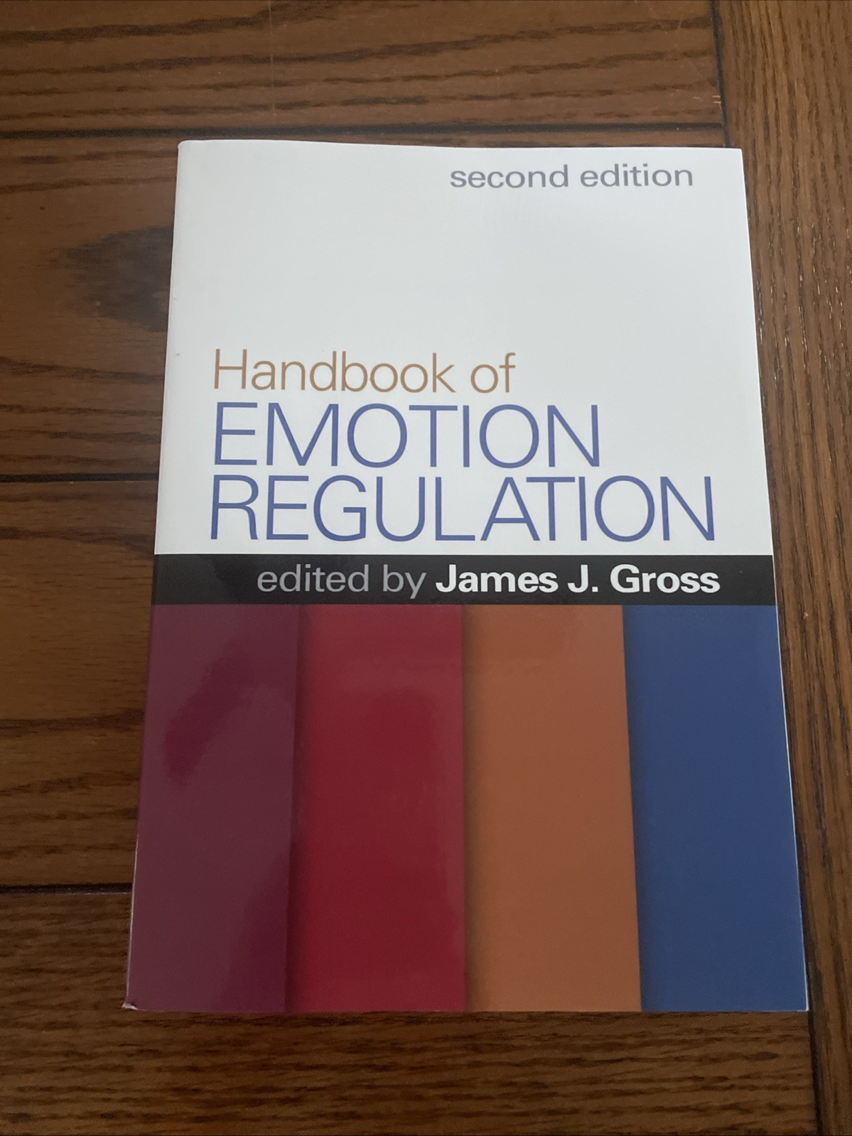 Handbook of Emotion Regulation by James J. Gross (2015, Trade Paperback)