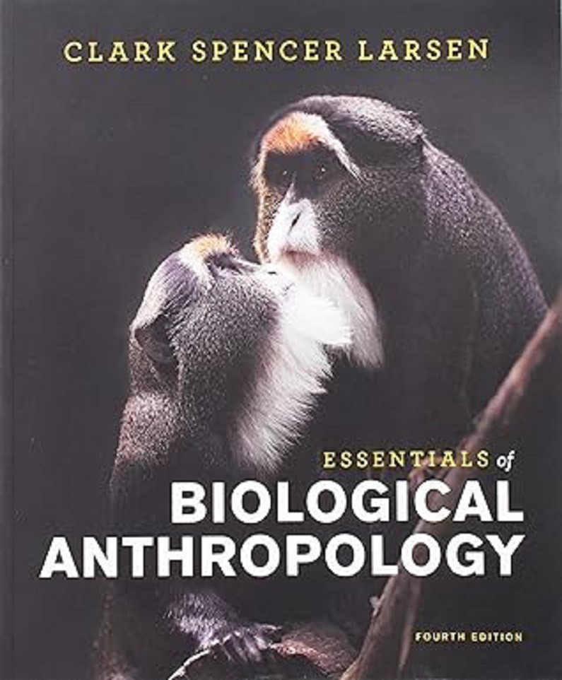 Essentials of Biological Anthropology Paperback V419