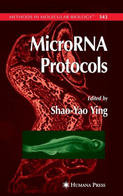 Ying – MicroRNA Protocols – New hardback or cased book – 79 – X555z