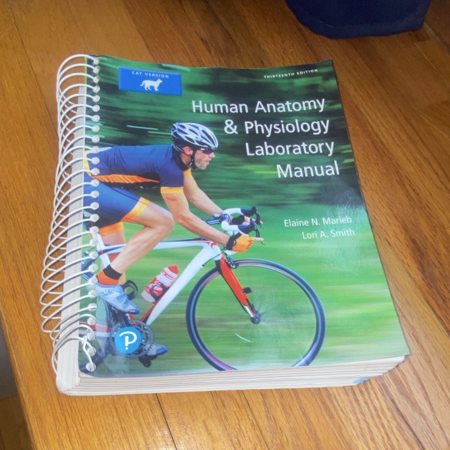 Pearson Human Anatomy & Physiology Lab Manual Cat 13th Spiral Marieb Smith