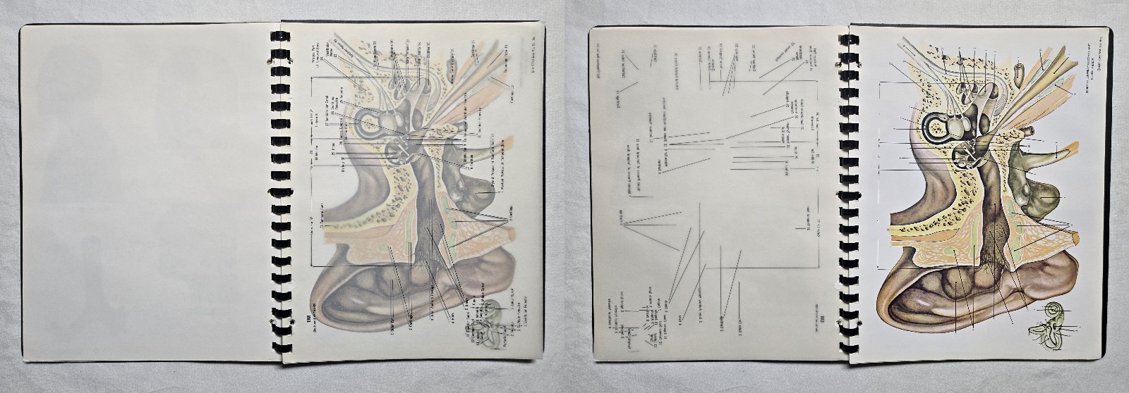 Schick Notebook Charts Human Anatomy Softcover Spiral Bound Book (1987)