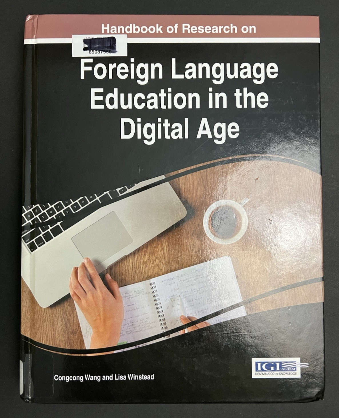 Handbook of Research on Foreign Language Education in the Digital Age, Hardcover