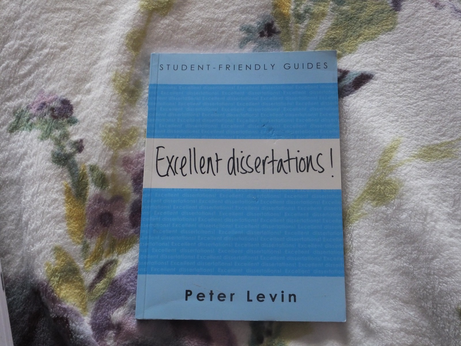 Excellent Dissertations! (Student-Friendly Guides series)-Peter