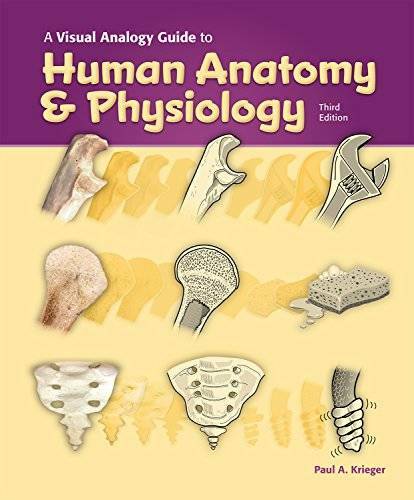 A Visual Analogy Guide to Human Anatomy & Physiology, 3e – Loose Leaf – GOOD