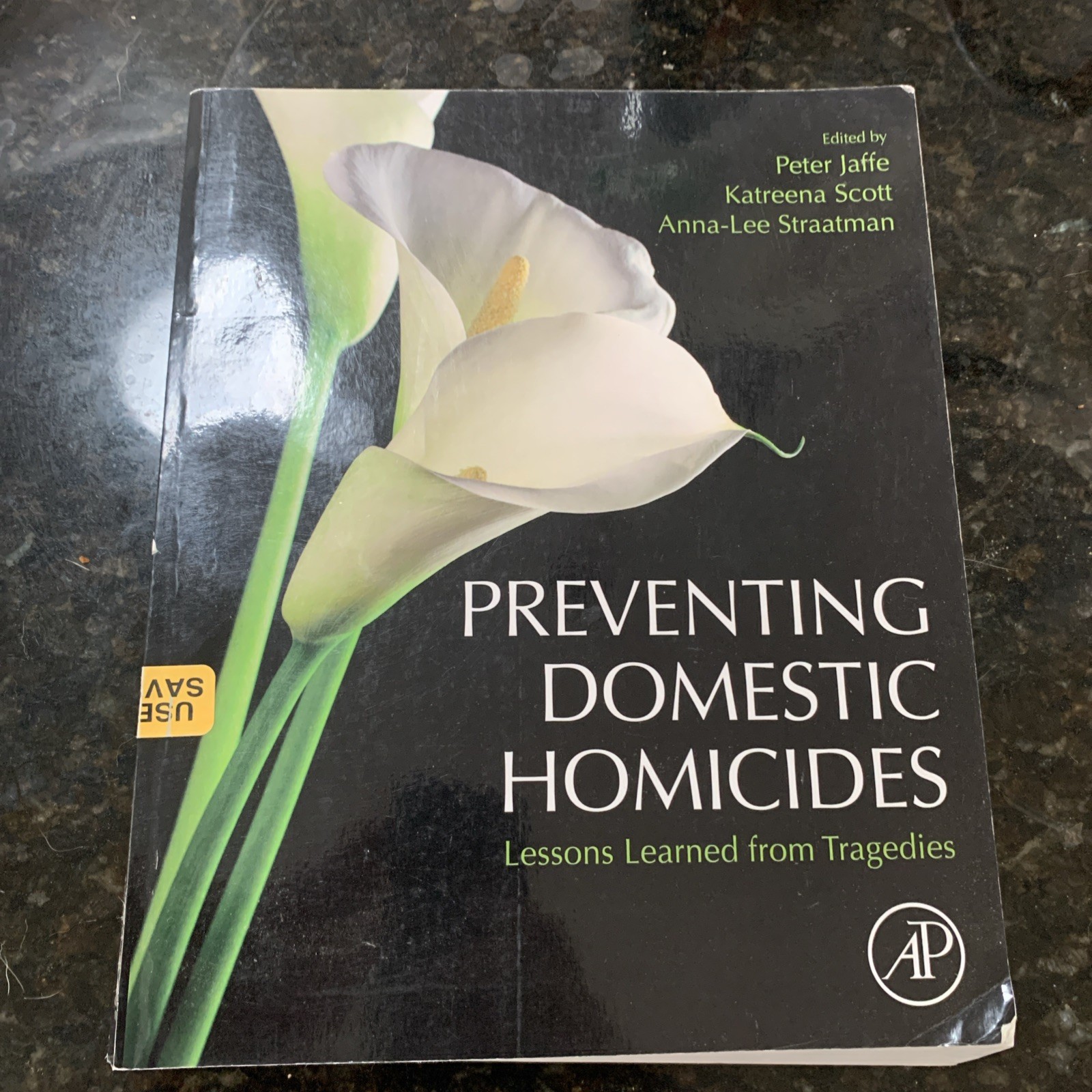 Preventing Domestic Homicides : Lessons Learned from Tragedies by Katreena Scott