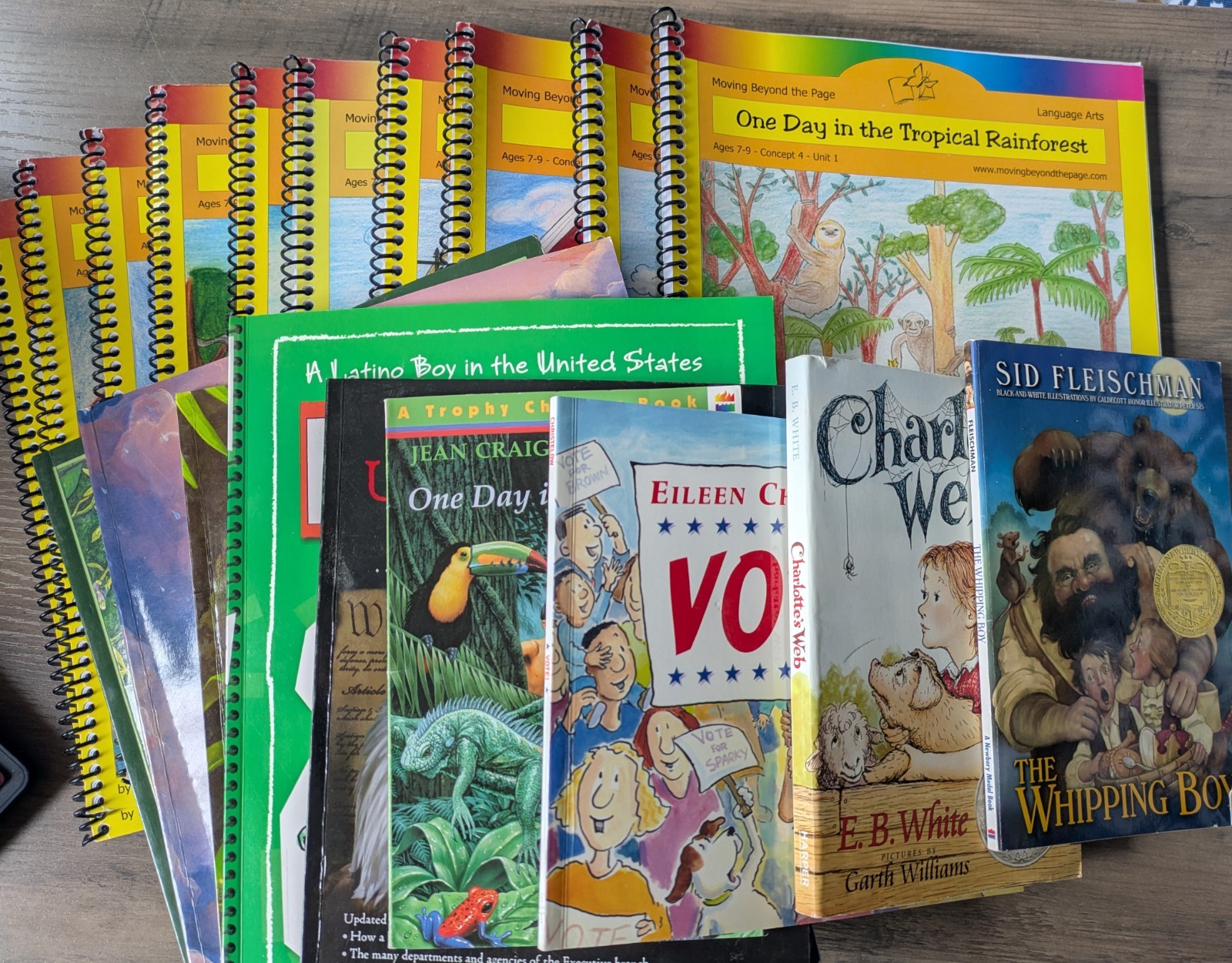 Moving Beyond the Page ages 7-9 curriculum 19 book lot