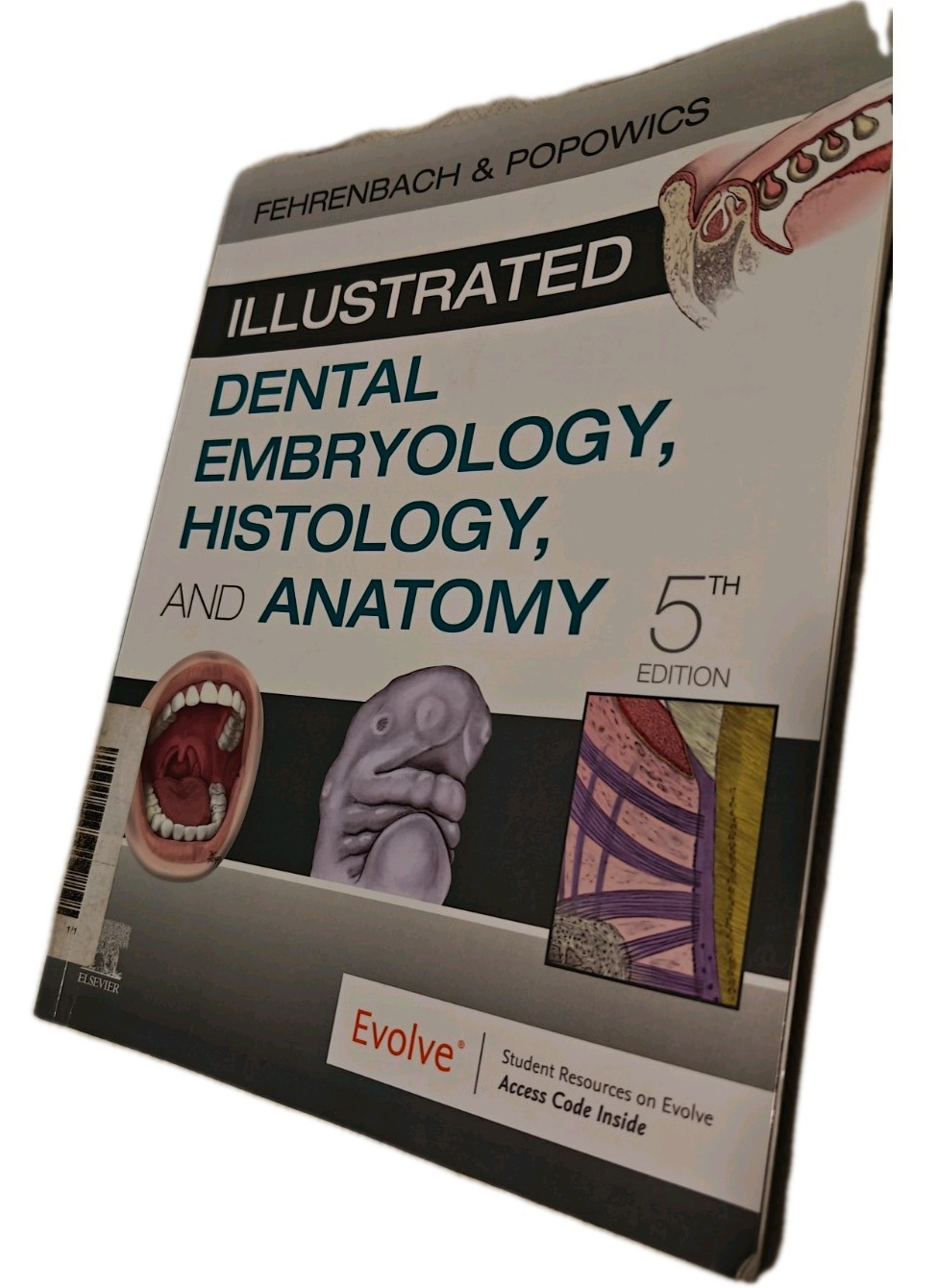 Illustrated Dental Embryology Histology and Anatomy by Margaret J Fehrenbach 5th