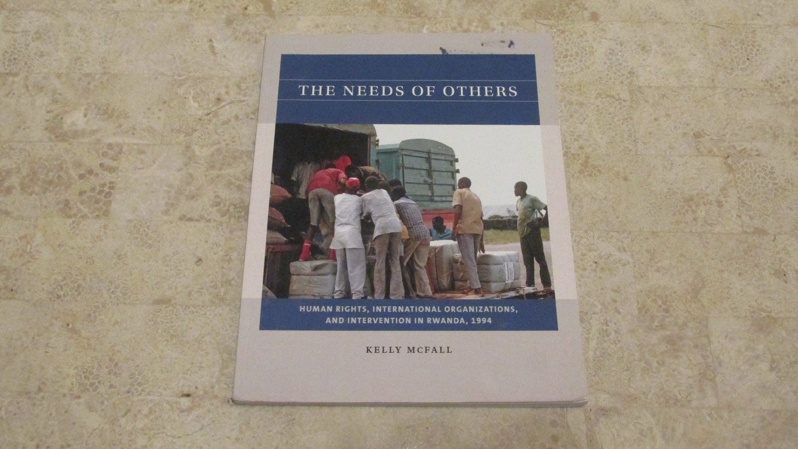 The Needs of Others : Human Rights, International Organizations, Intervention