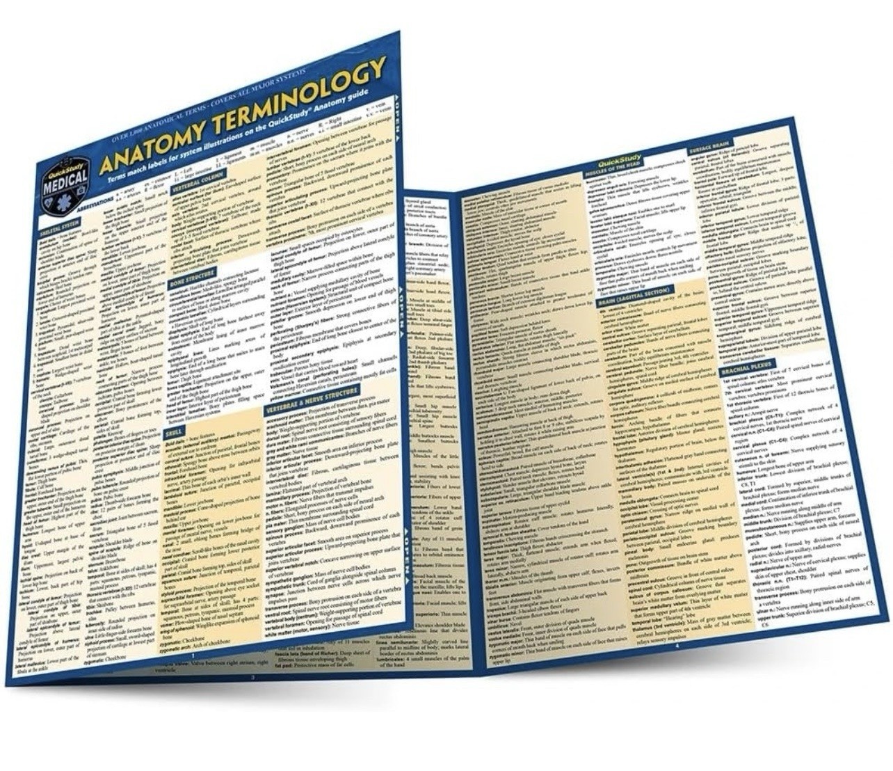 Anatomy Terminology Tri-Fold Quick Study Reference Guide NEW