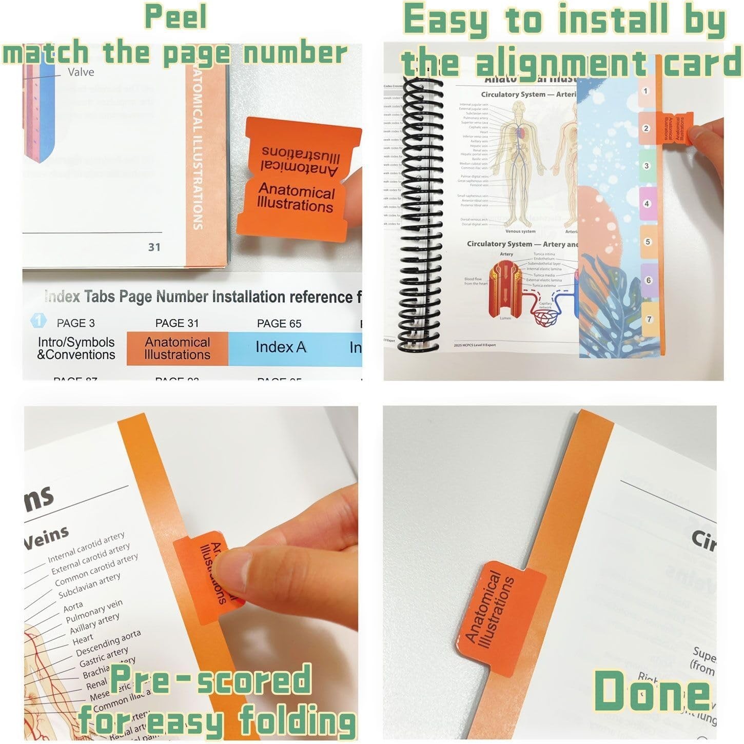 Index Tabs for AMA CPT Book, ICD-10 Code, HCPCS Level II, 3-Set Bundle 2026/2025