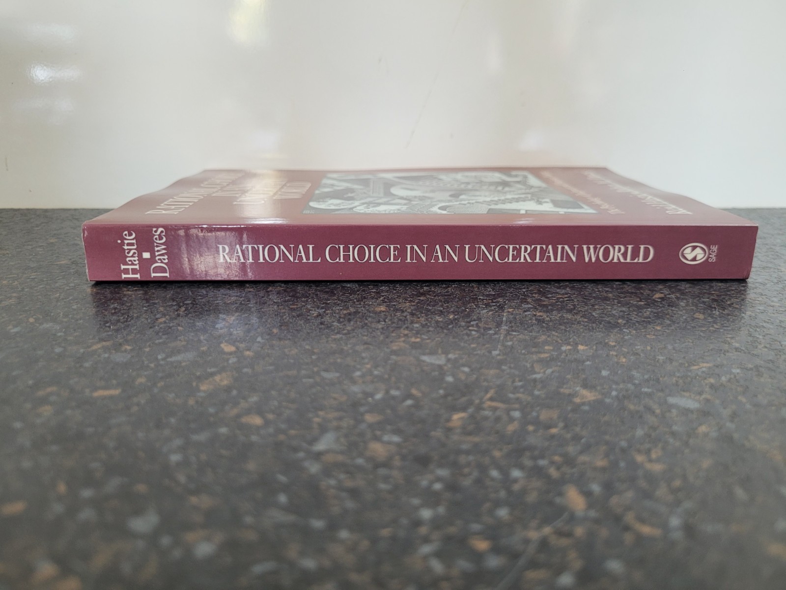 Rational Choice in an Uncertain World by Reid Hastie and Robyn Dawes Paperback